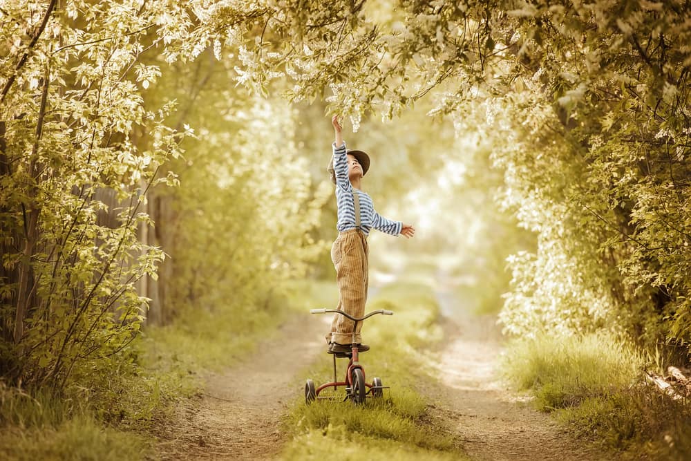 boy-on-tricycle-reaching-tree.jpg